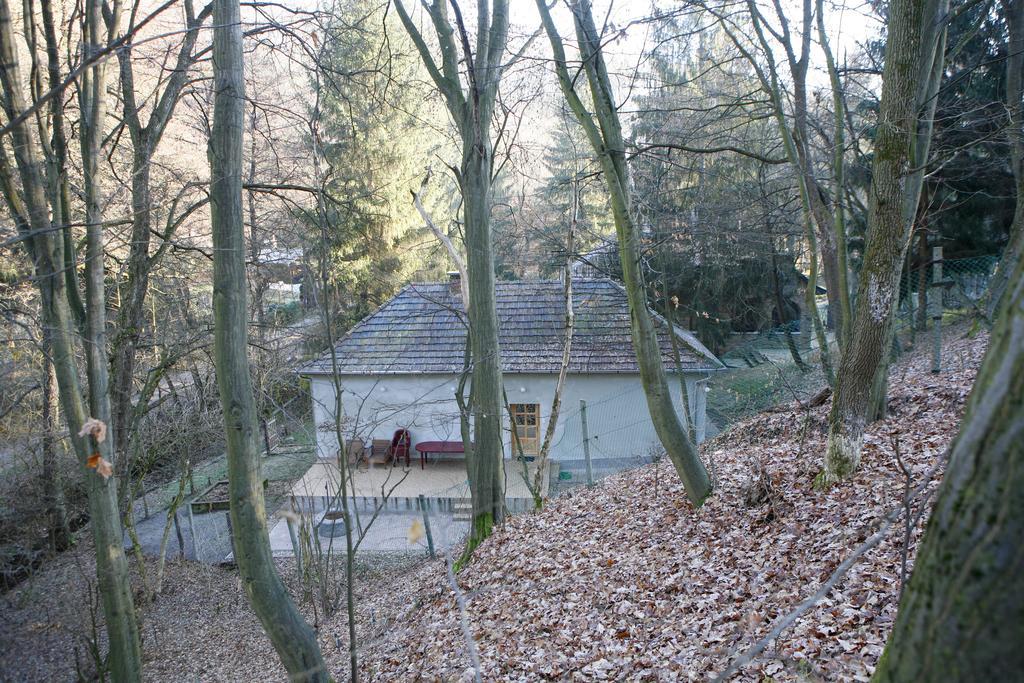Harangvirág 36 Vendégház Kismaros Esterno foto